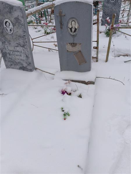 Быков Александр Васильевич
