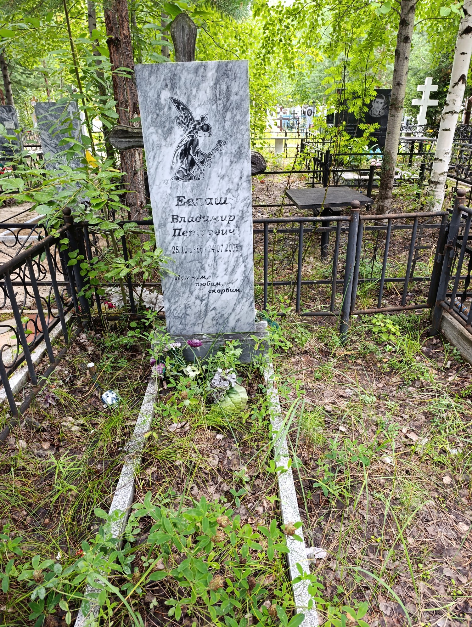 Евлаш Владимир Петрович