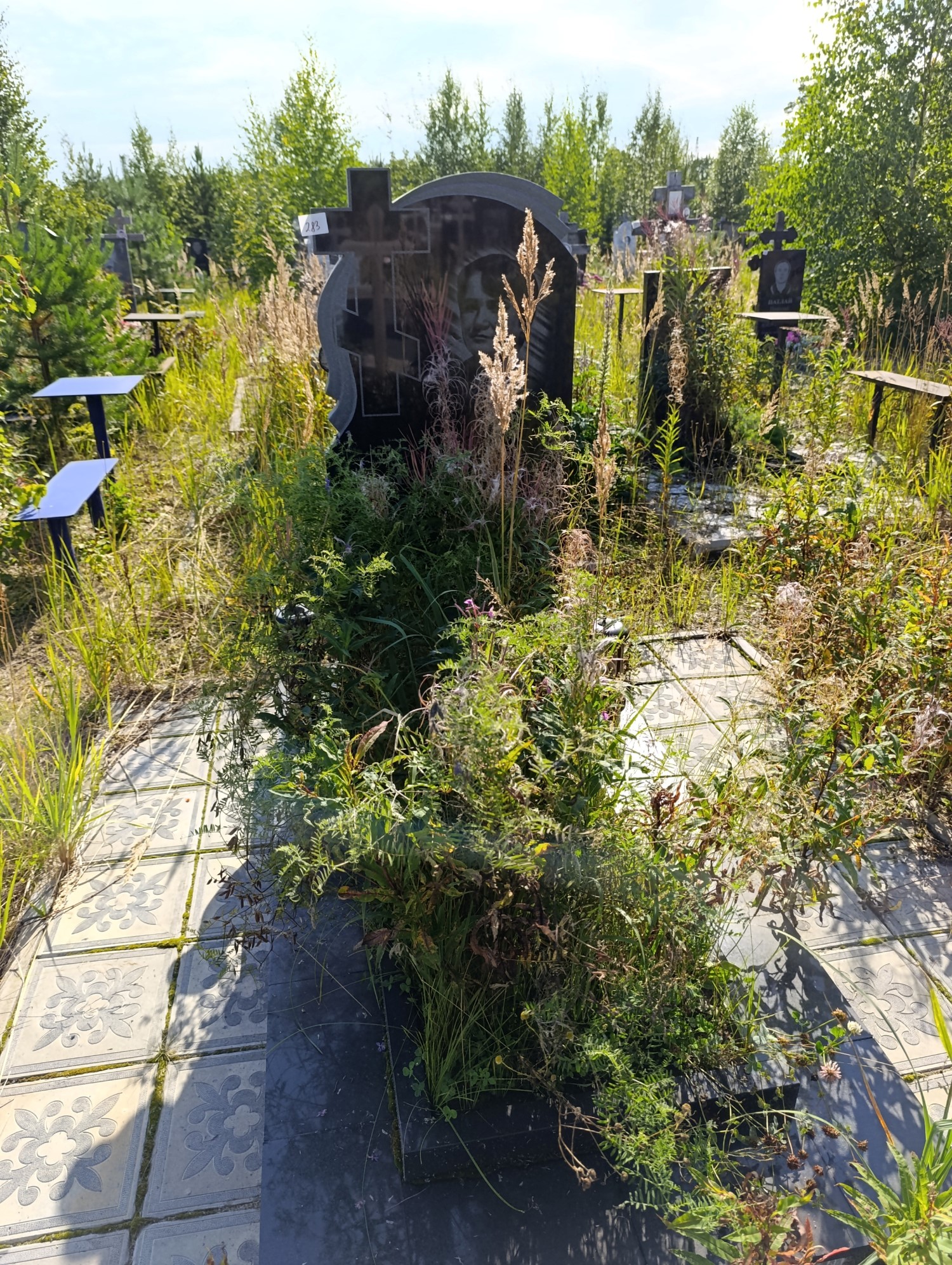 Лагунова Лидия Михайловна