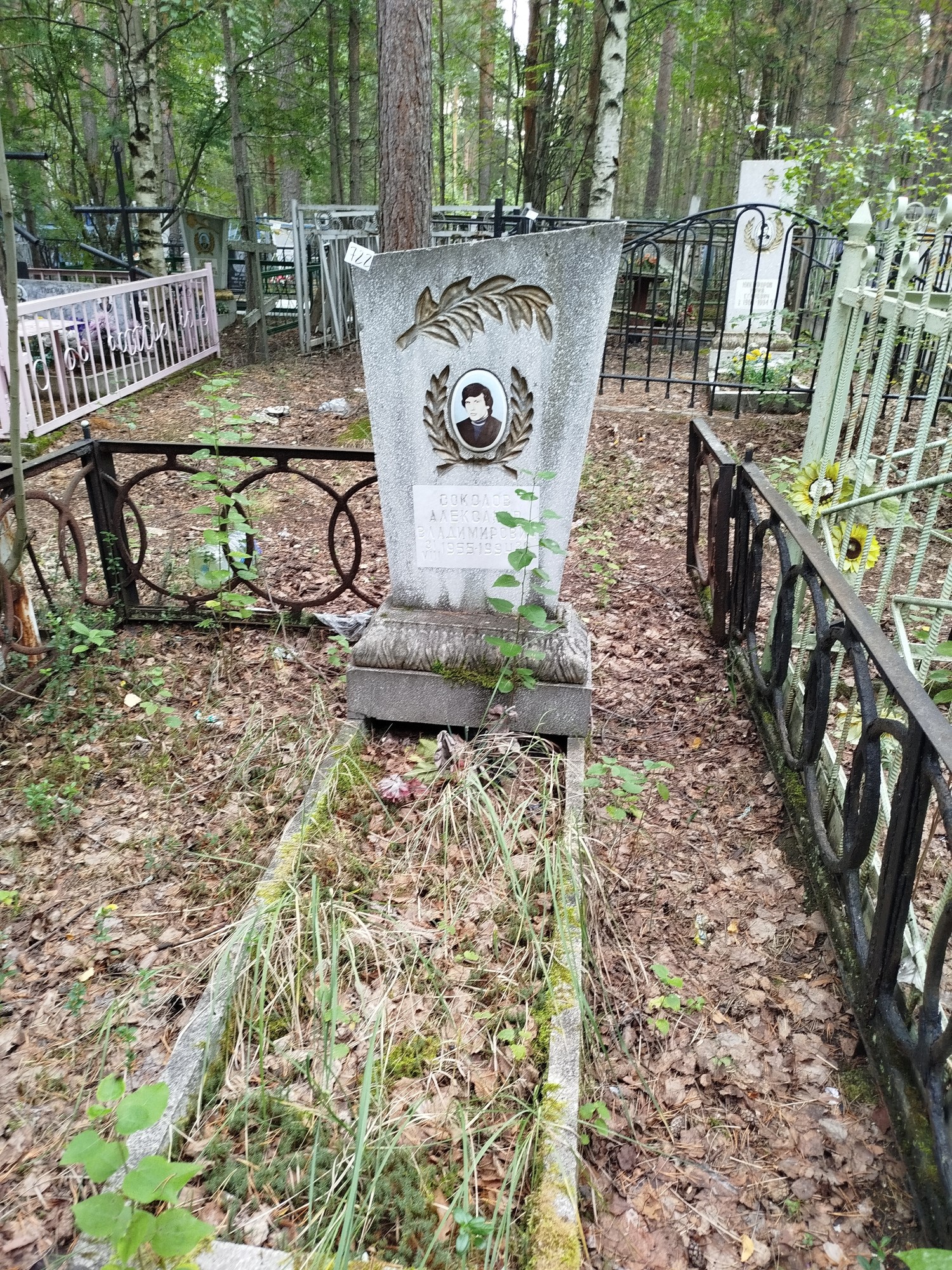 Соколов Александр Владимирович