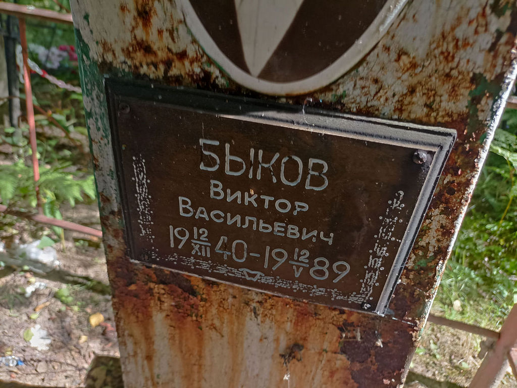 Быков Виктор Васильевич
