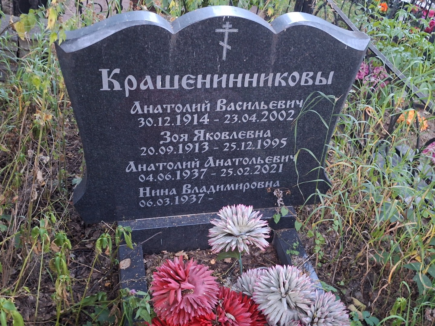 Крашенинников