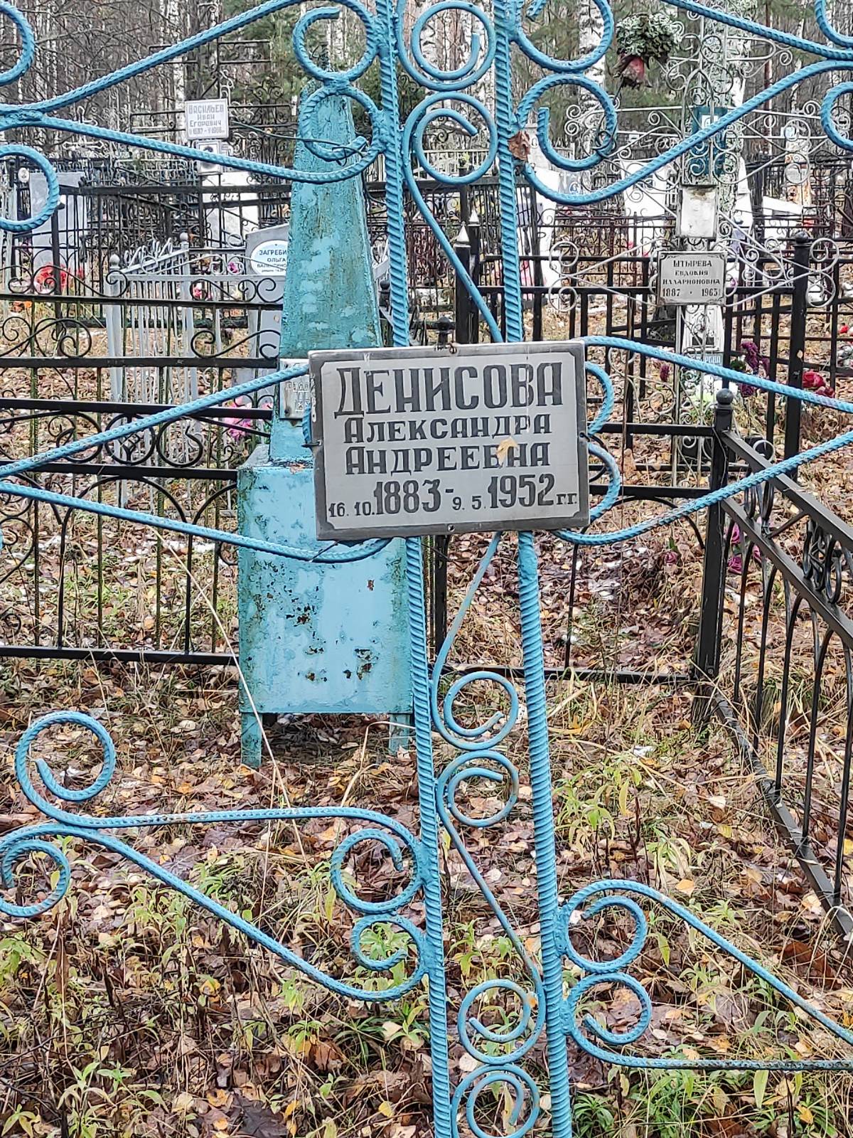 Денисова Александра Андреевна