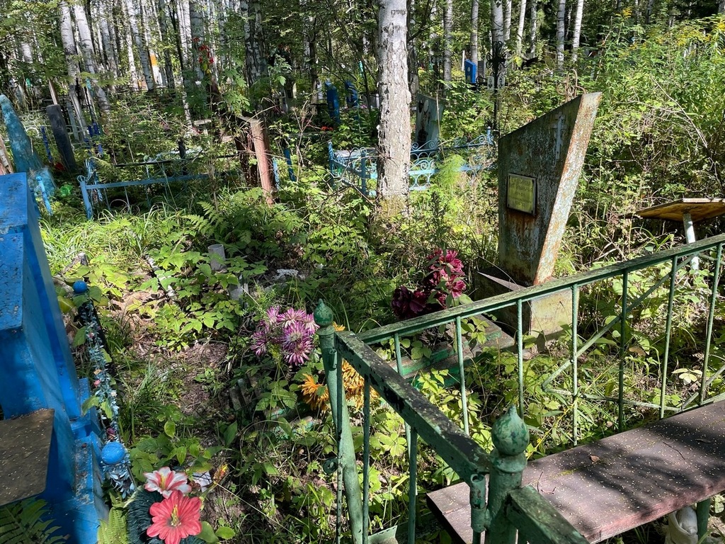 Снегирева Анна Ильинична