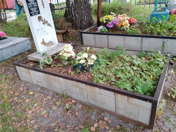 Баянова Алена Николаевна