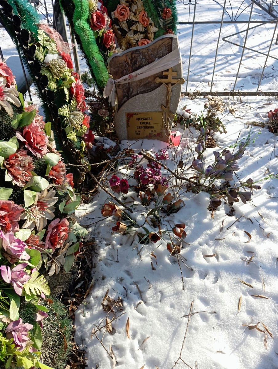 Щербатая Елена Сергеевна
