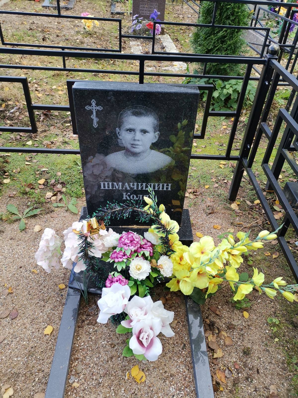 Шмачилин Коля