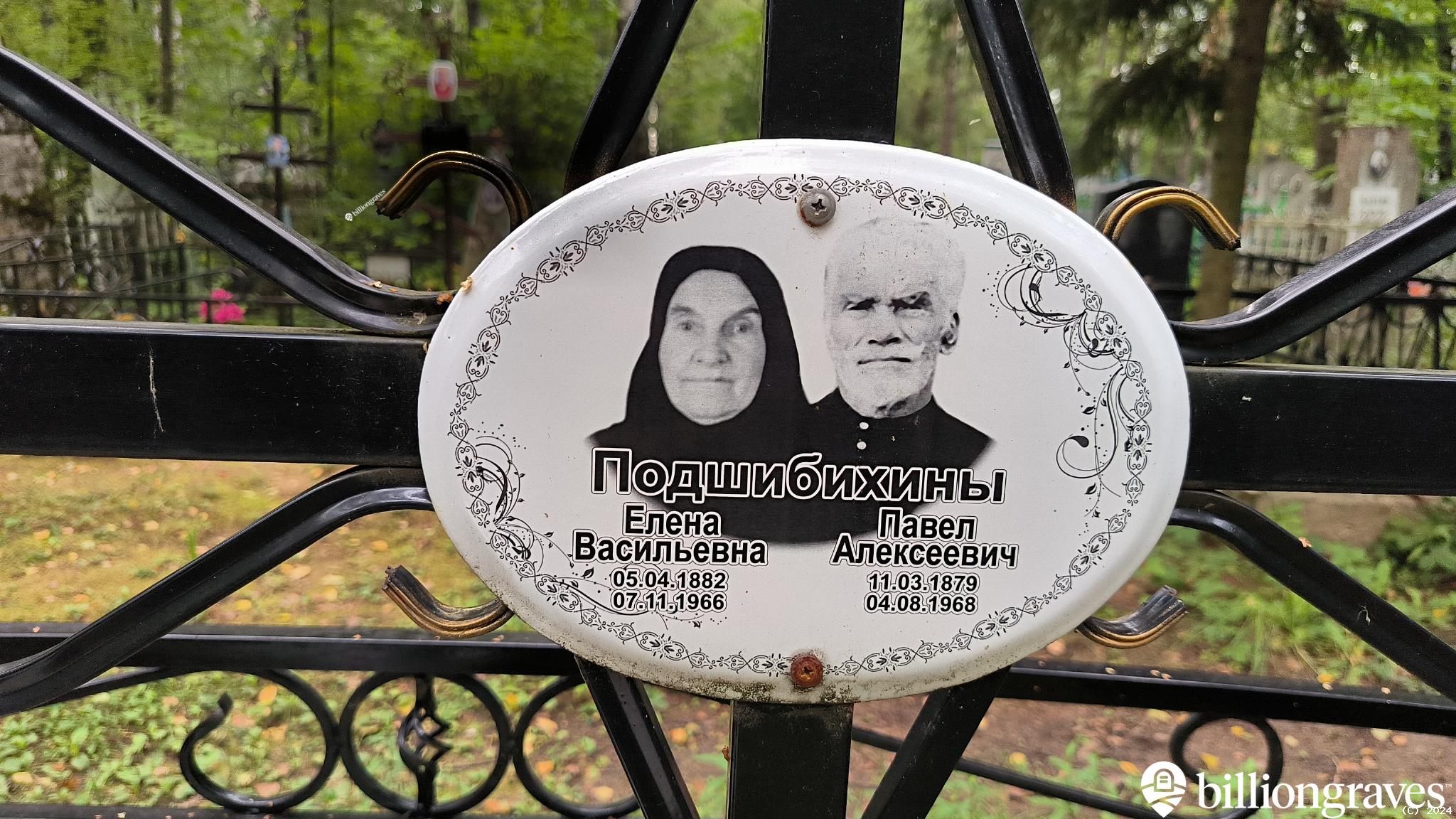 Подшибихина Елена Васильевна