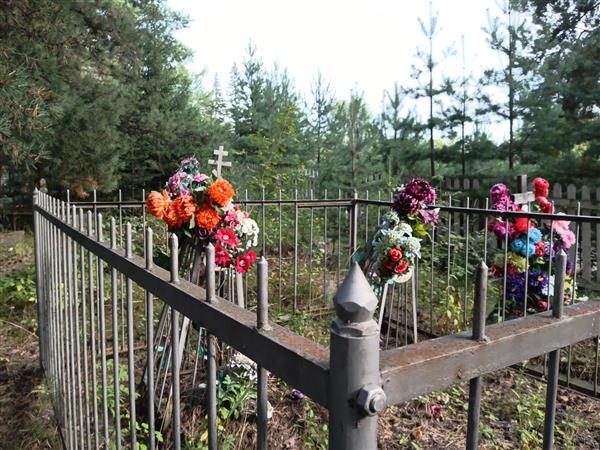 Лебедев Семен Ефимович