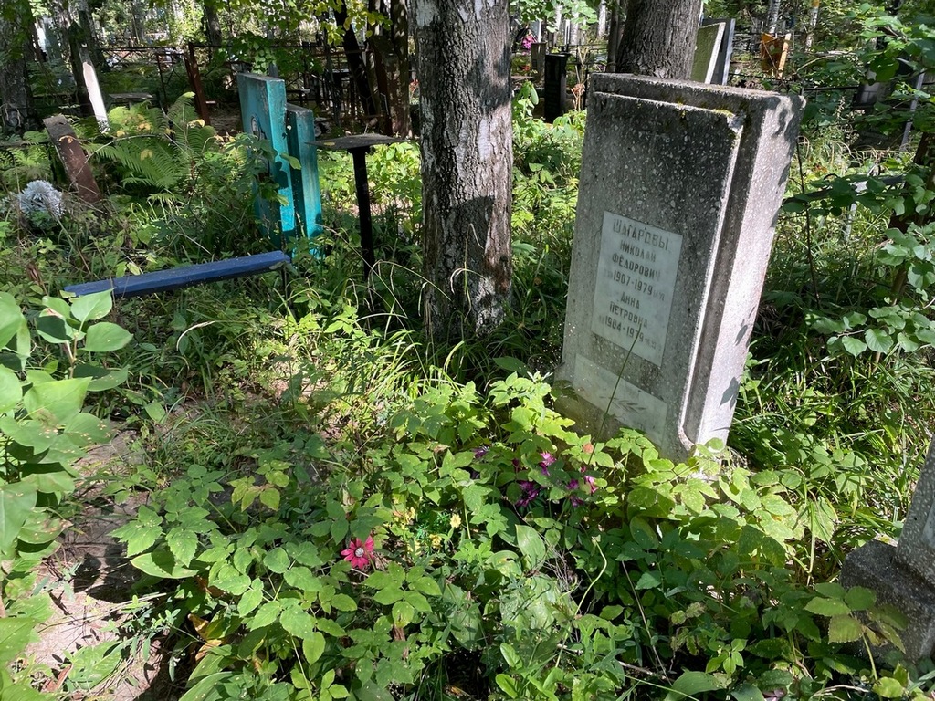 Шагаров Николай Федорович