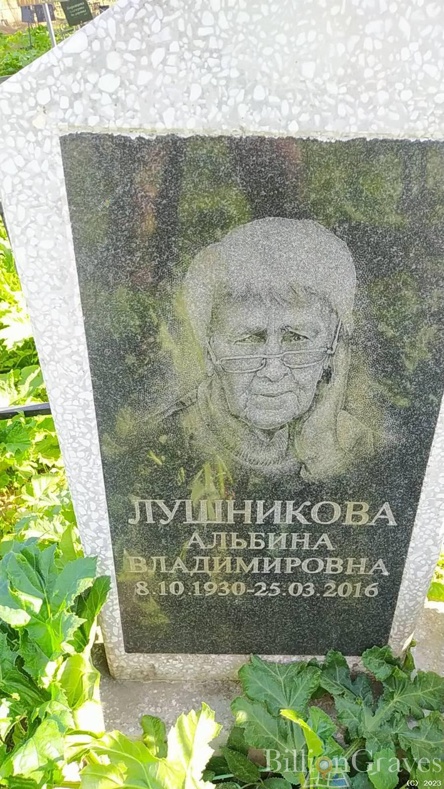 Лушникова Альбина Владимировна
