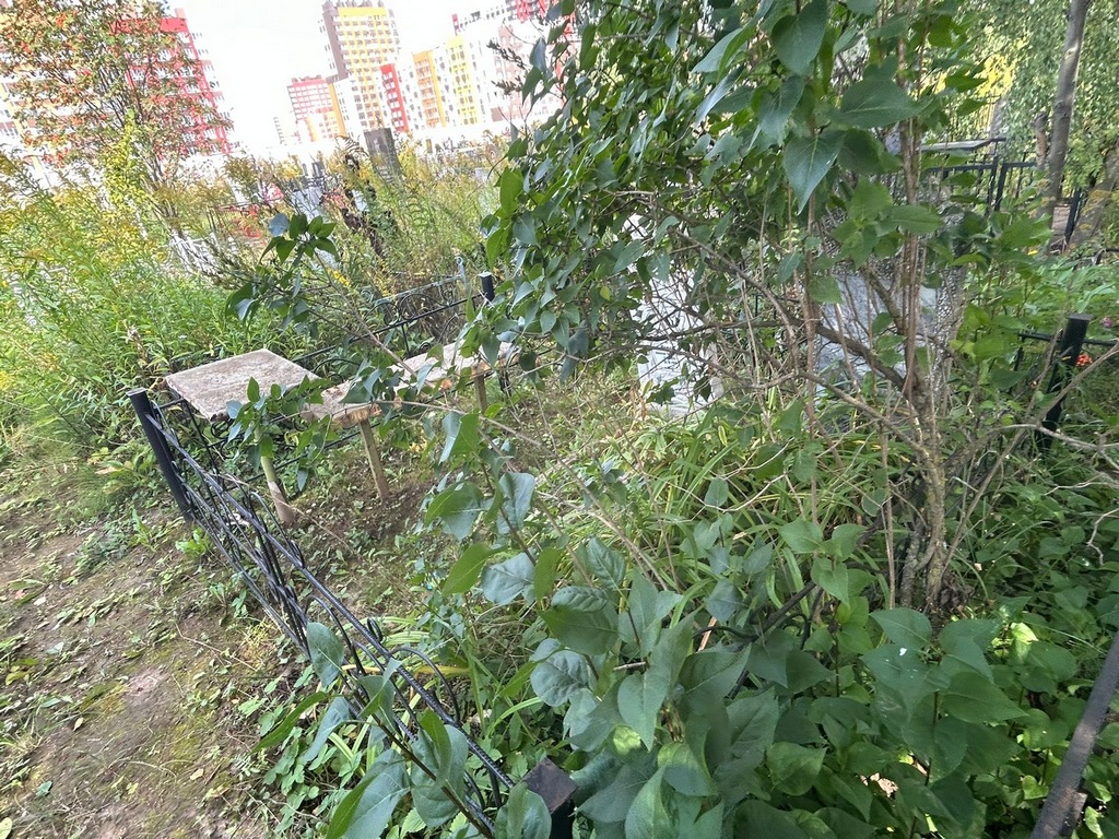 Попов Николай Васильевич