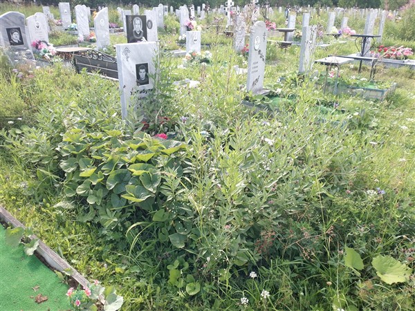 Хабибулин Вакгиль
