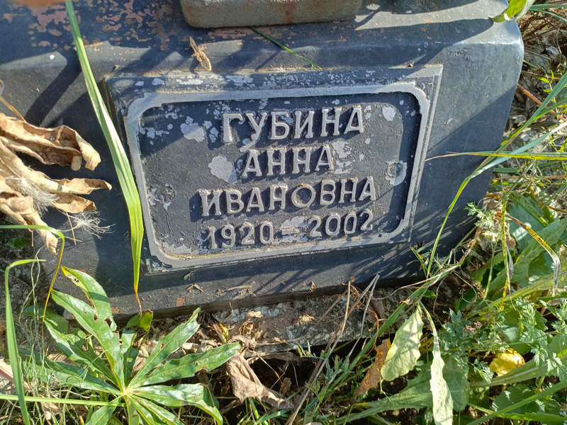 Губина