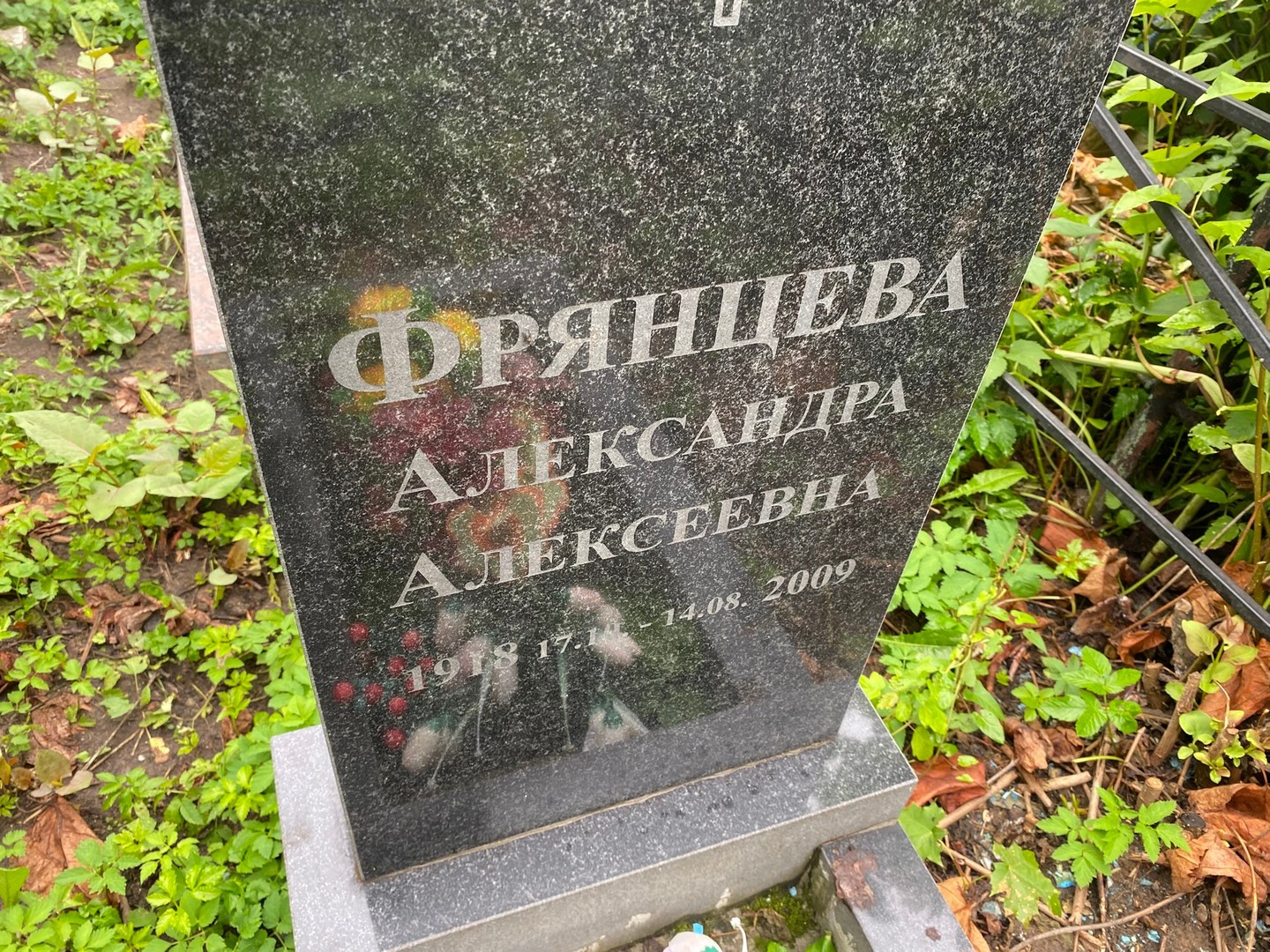 Фрянцева Александра Алексеевна