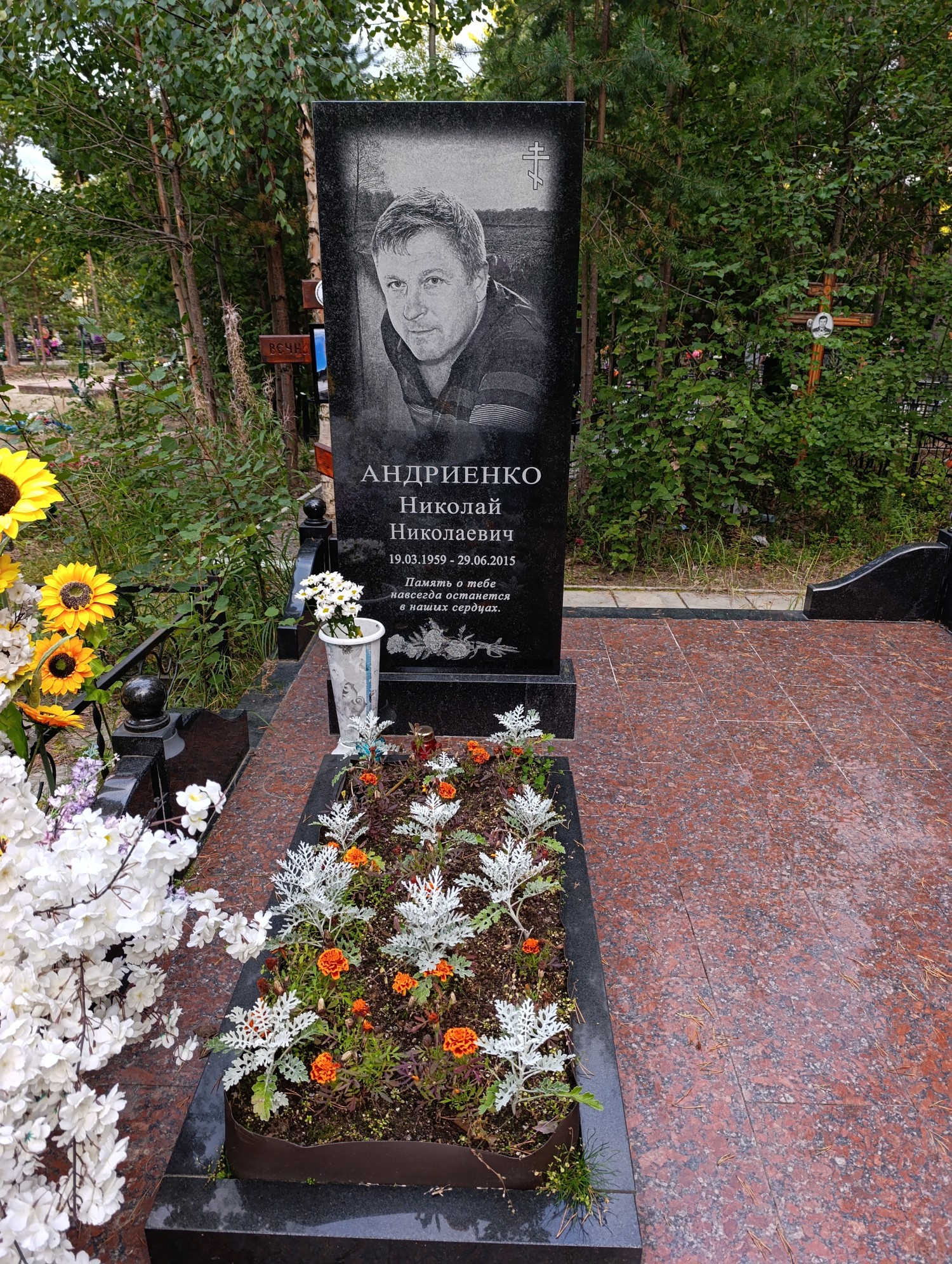 Андриенко Николай Николаевич