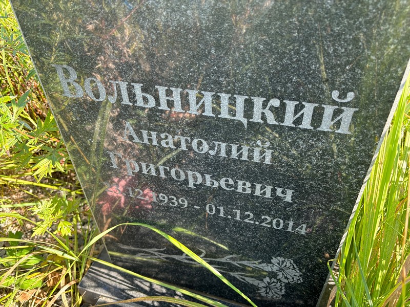 Вольницкий