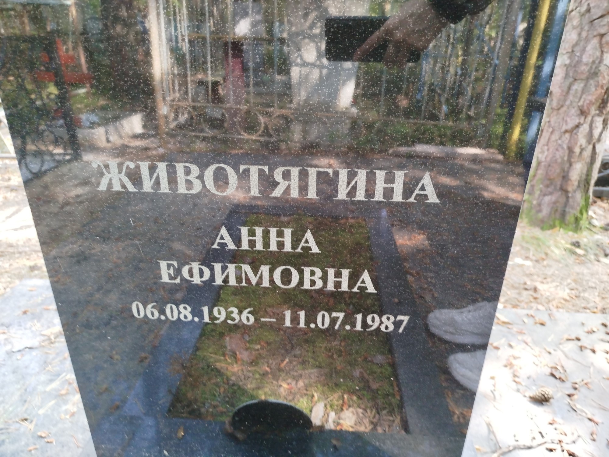 Животягина Анна Ефимовна