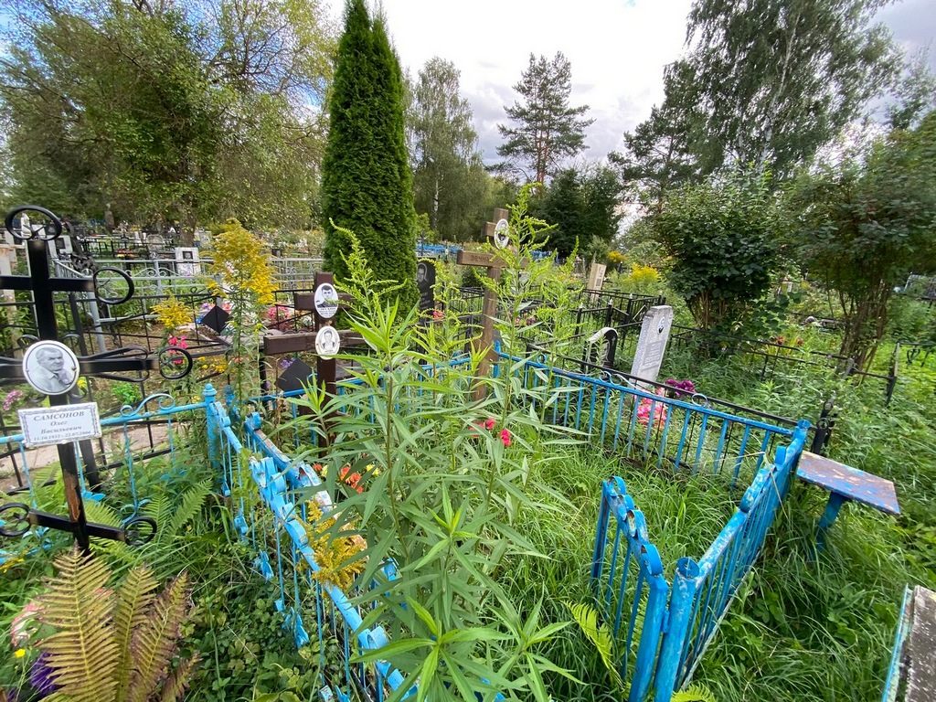 Мухин Лев Иванович