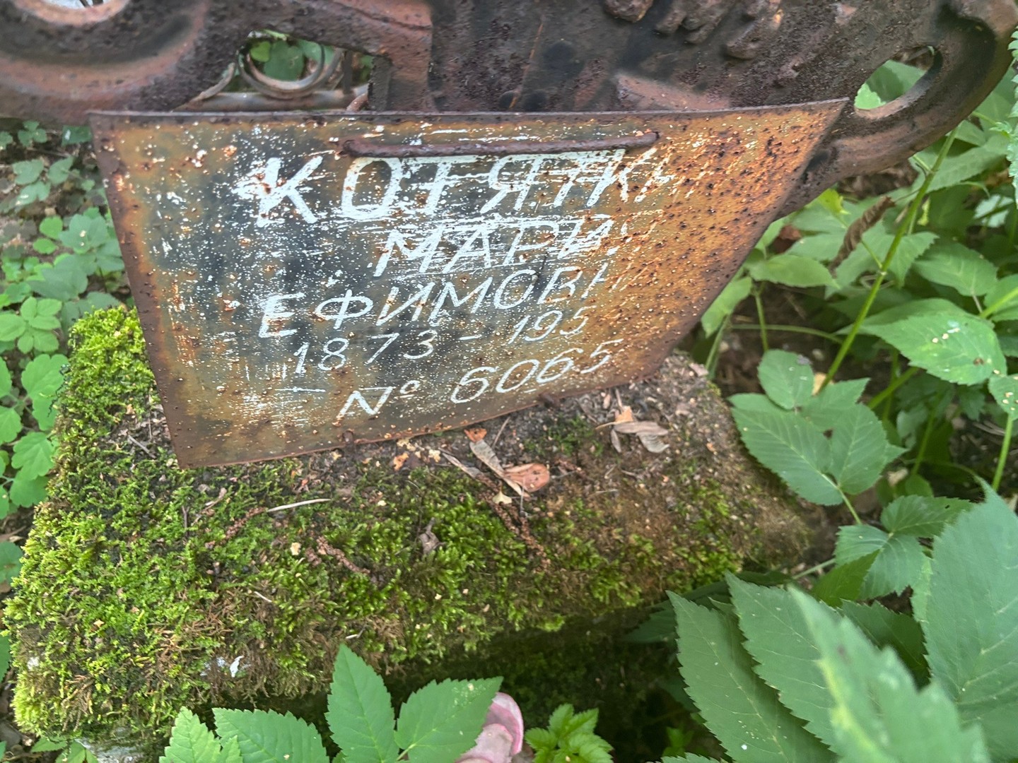 Котяткина