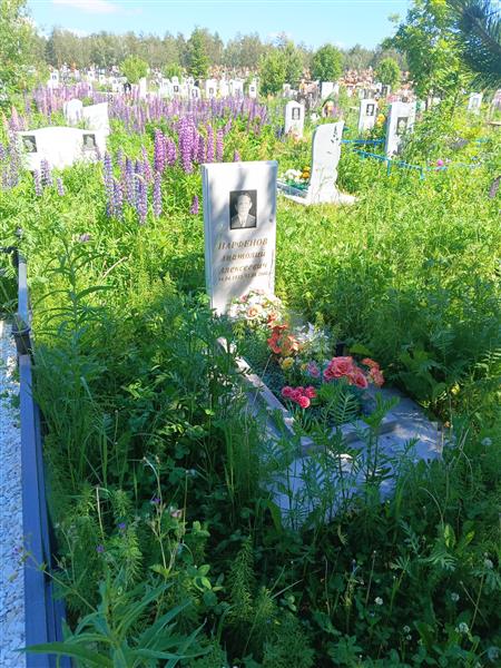 Парфёнов Анатолий Алексеевич