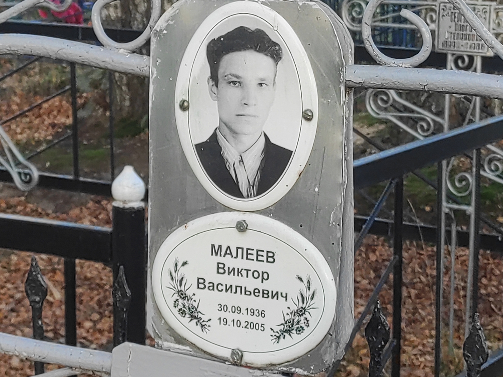 Малеев Виктор Васильевич
