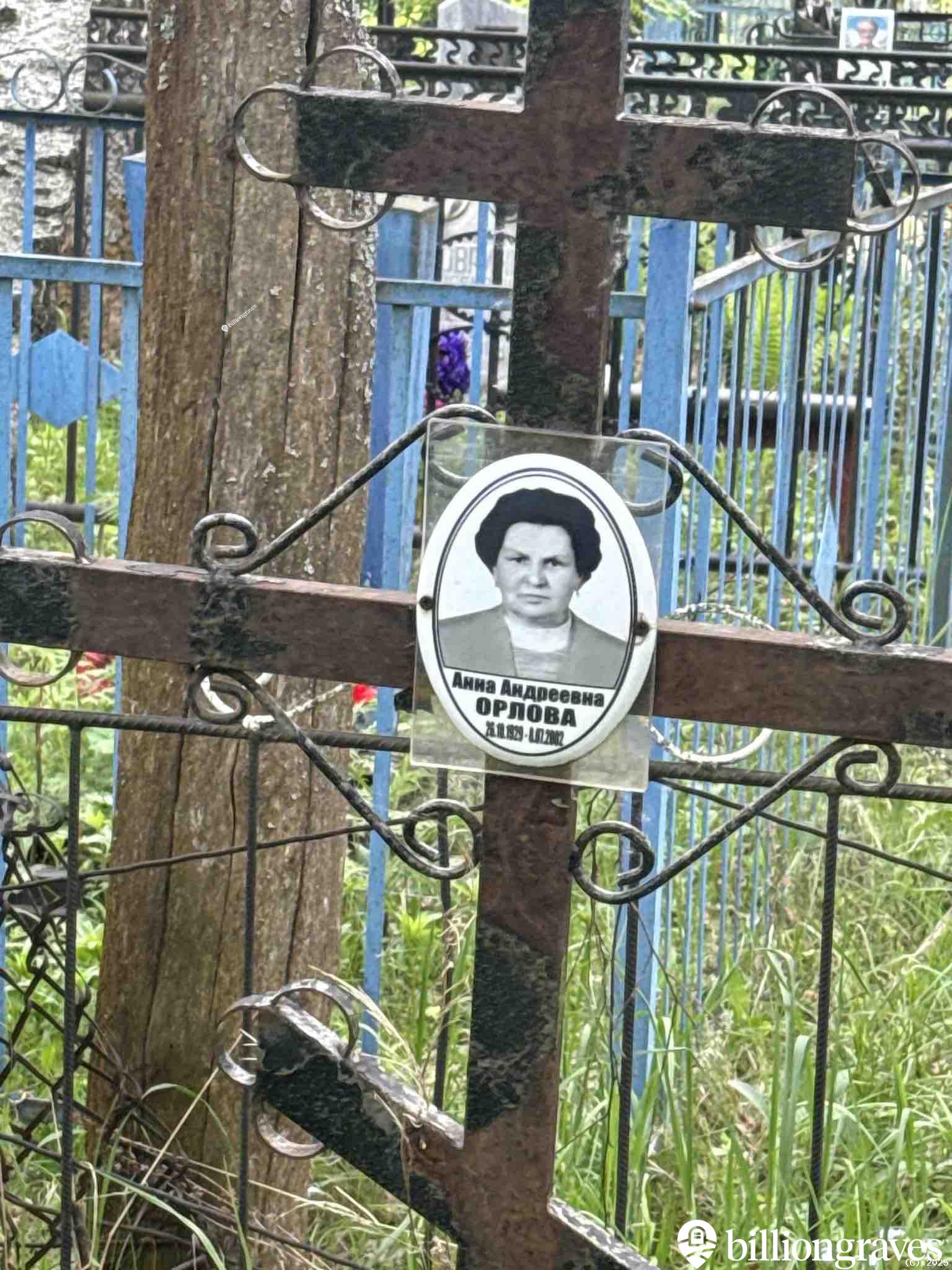 Орлова Анна Андреевна