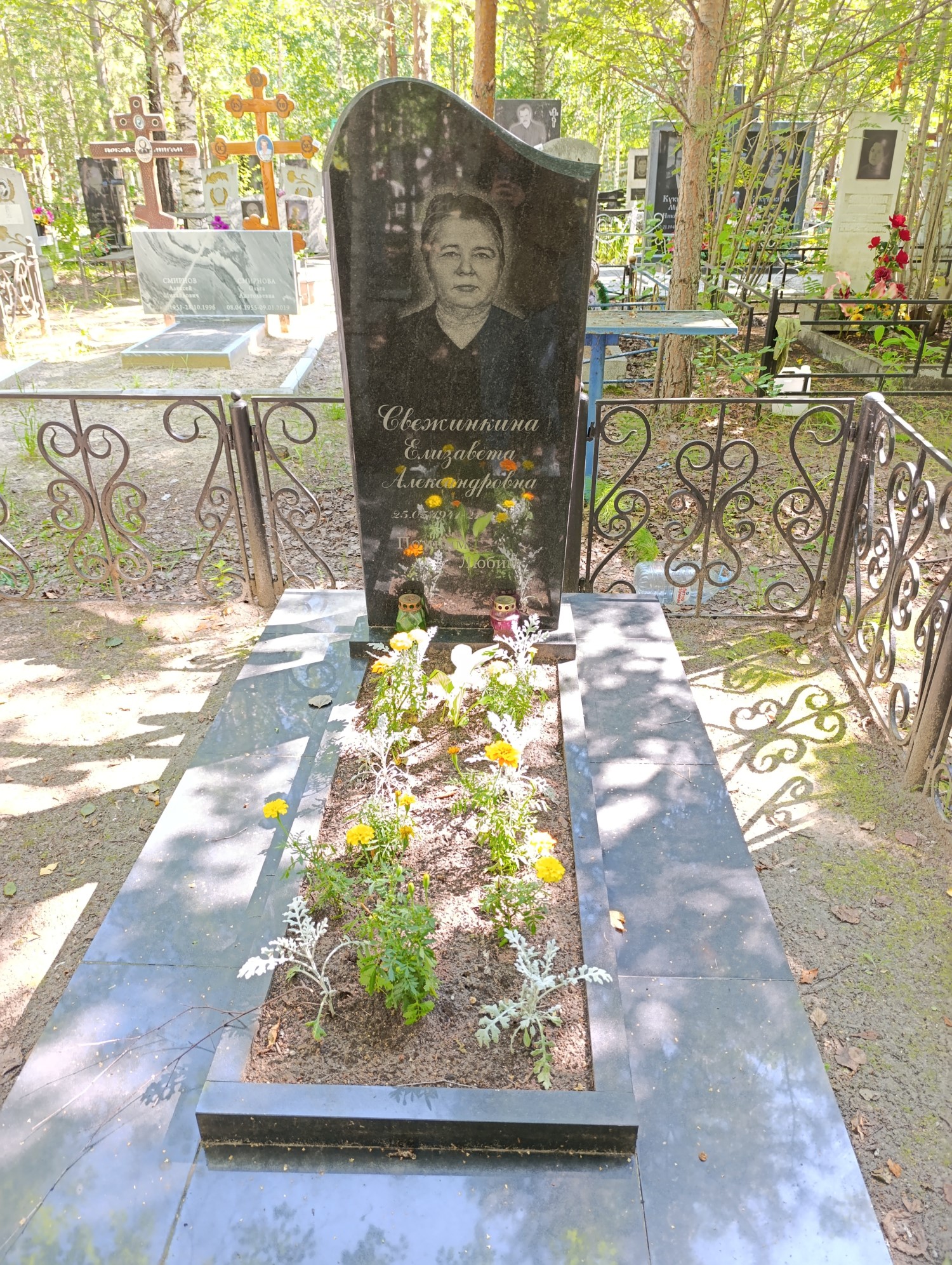 Свежинкина Елизавета Александровна