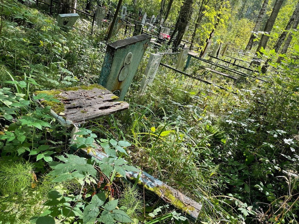 Цицер Зинаида Иосифовна