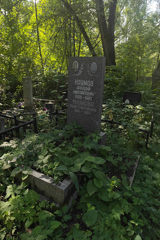 Наумова Анна Георгиевна