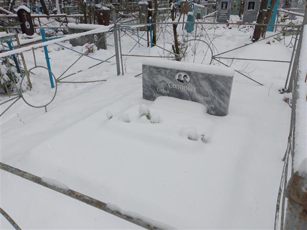 Соловых Софья Артемовна