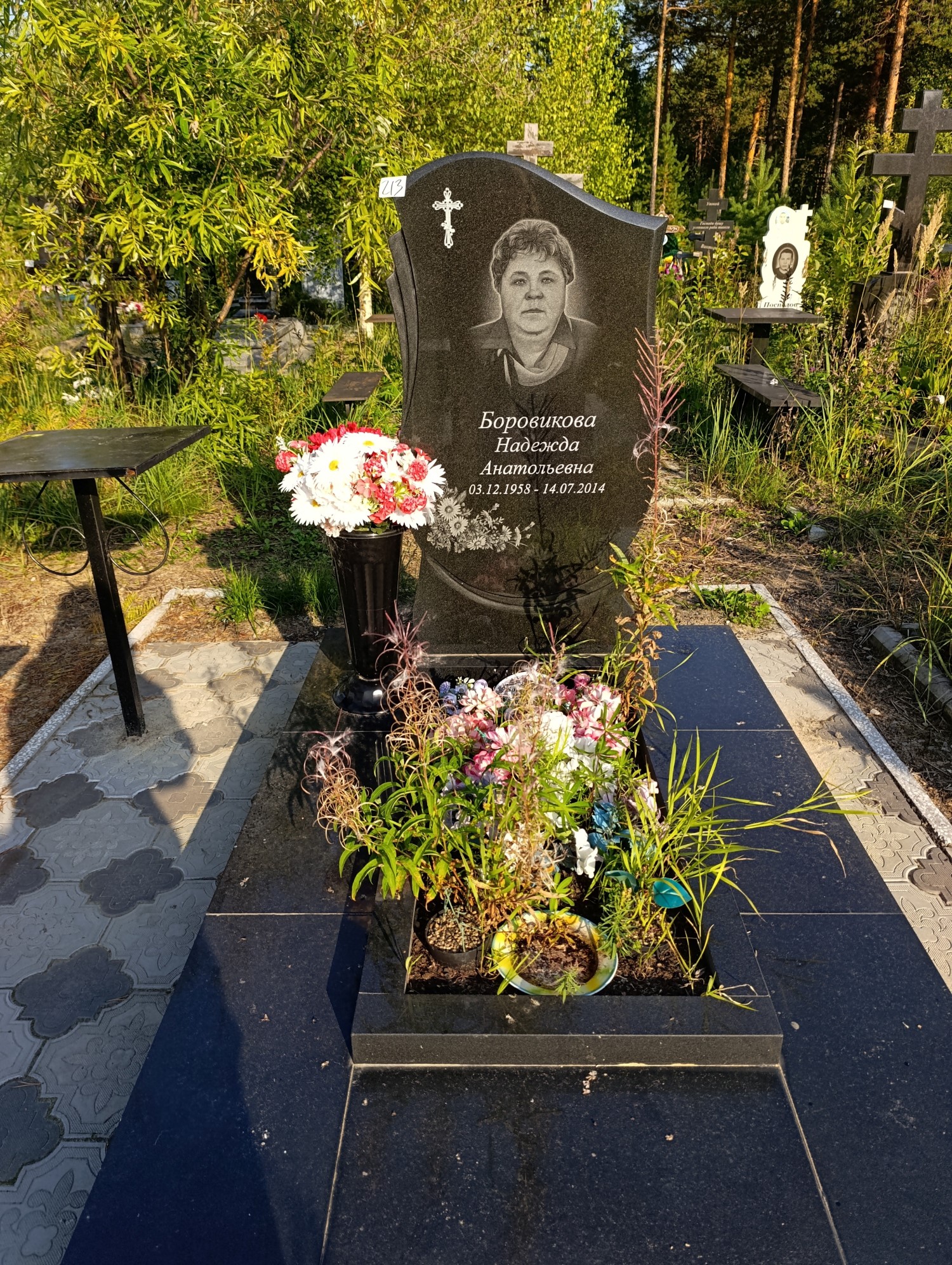 Боровикова Надежда Анатольевна