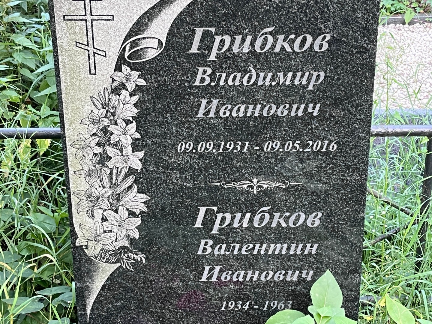 Грибков