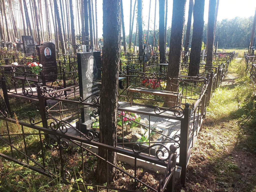 Каргина Евгения Николаевна