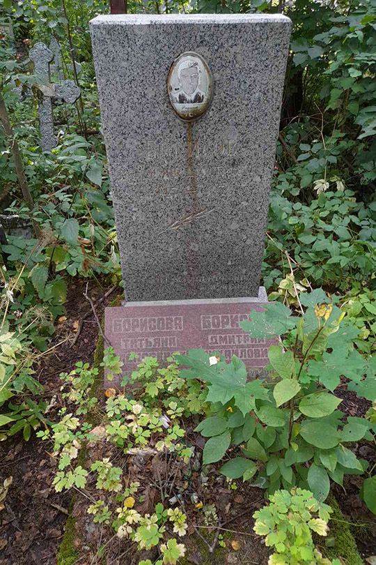 Борисов Дмитрий Михайлович