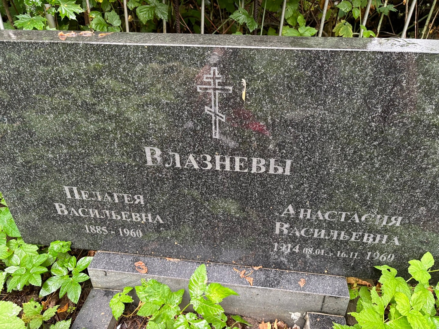 Влазнева Пелагея Васильевна
