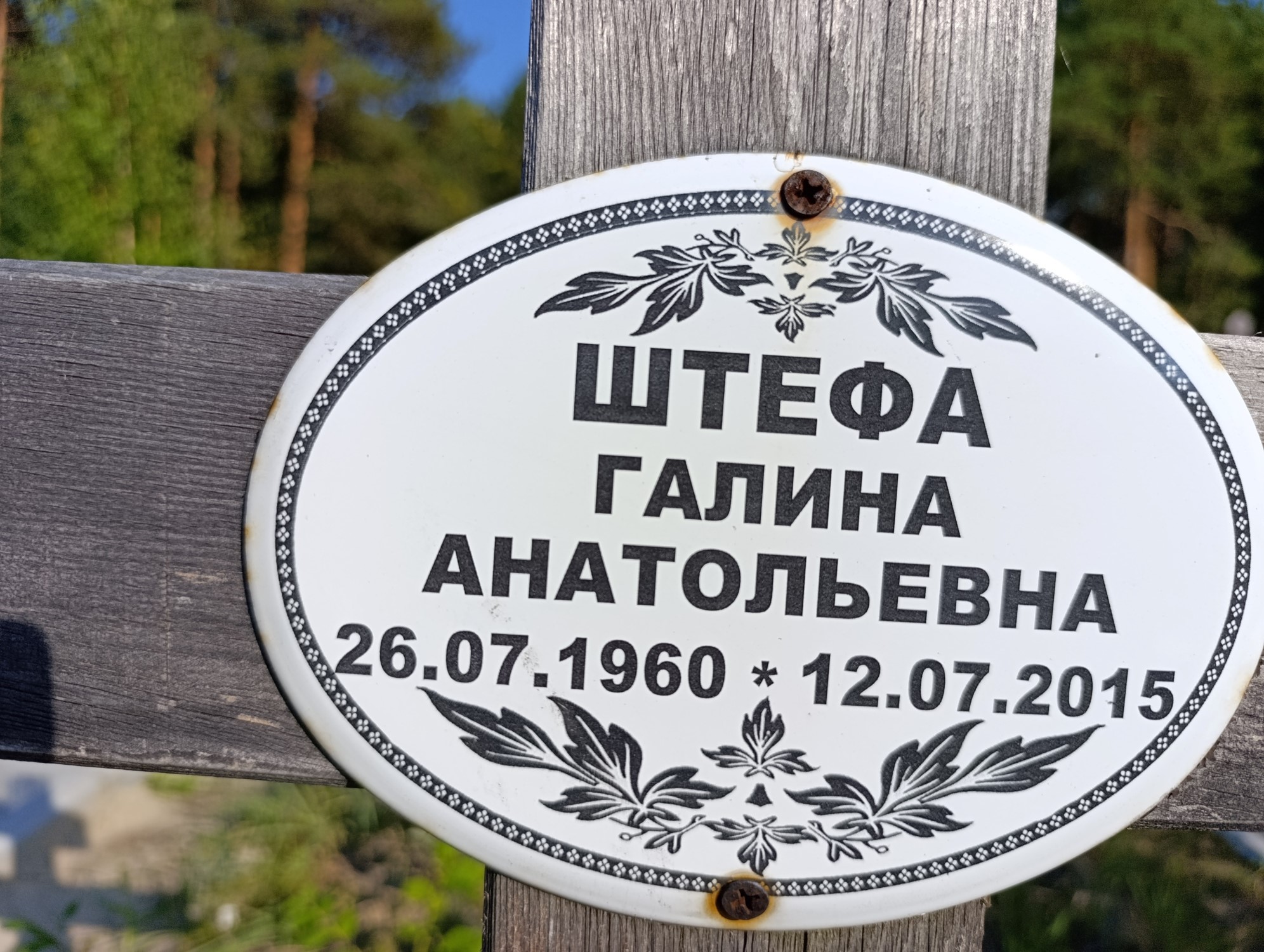 Штефа Галина Анатольевна