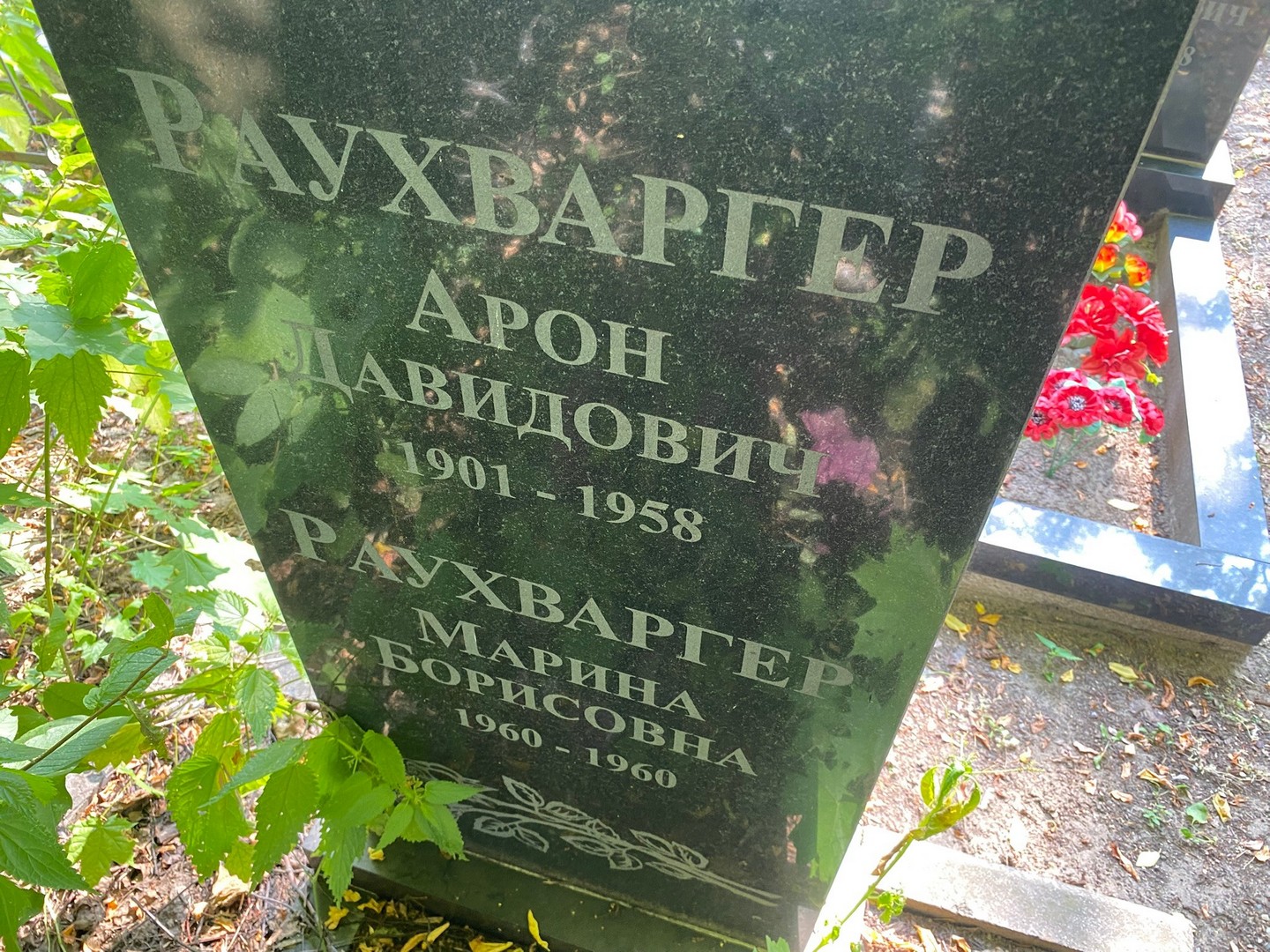 Арон Раухваргер Давидович