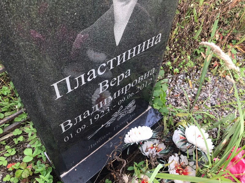 Пластинина