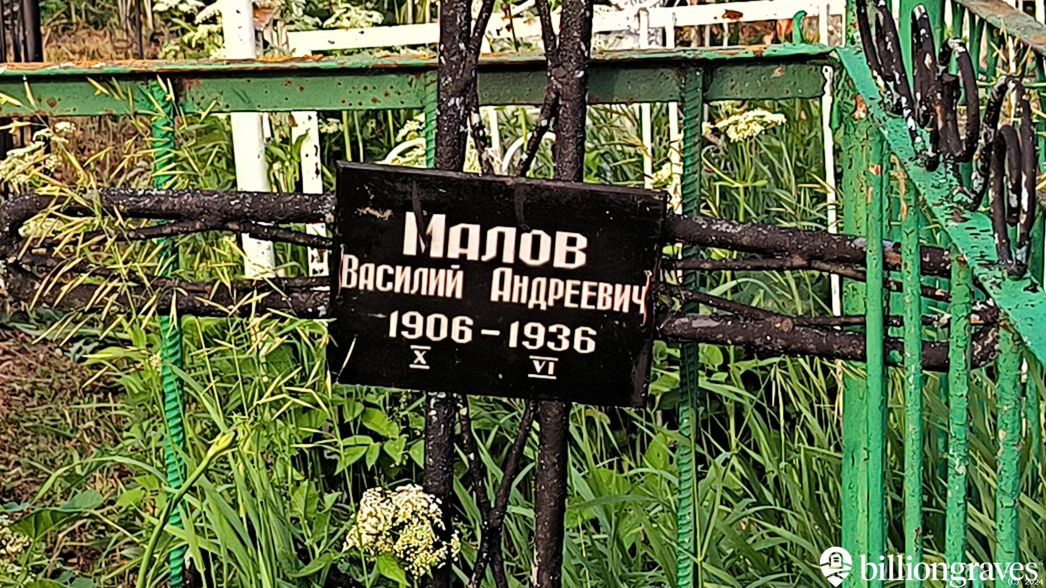 Малова Татьяна Николаевна