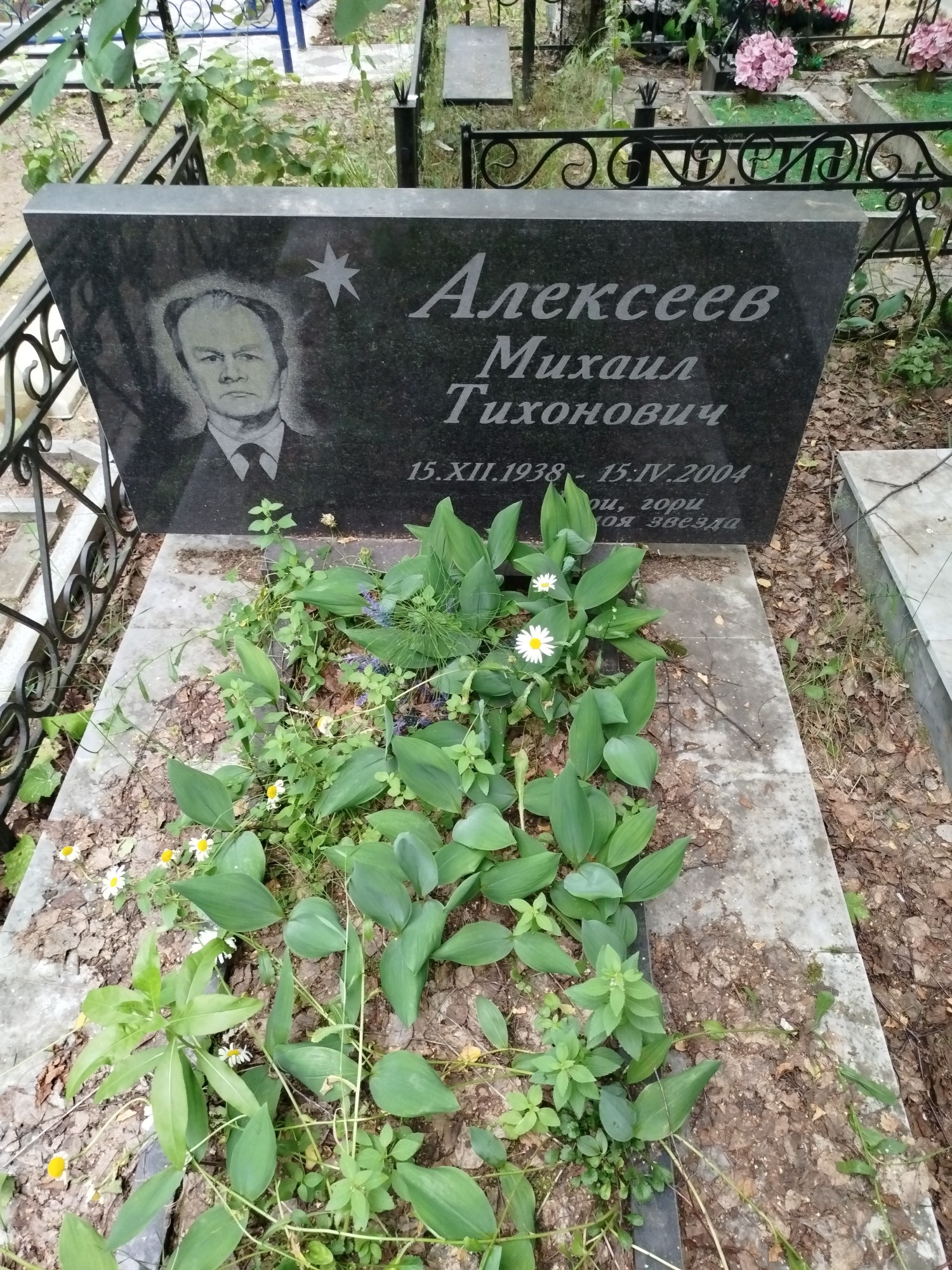 Алексеев Михаил Тихонович