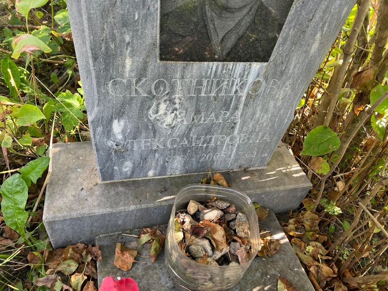 Скотникова
