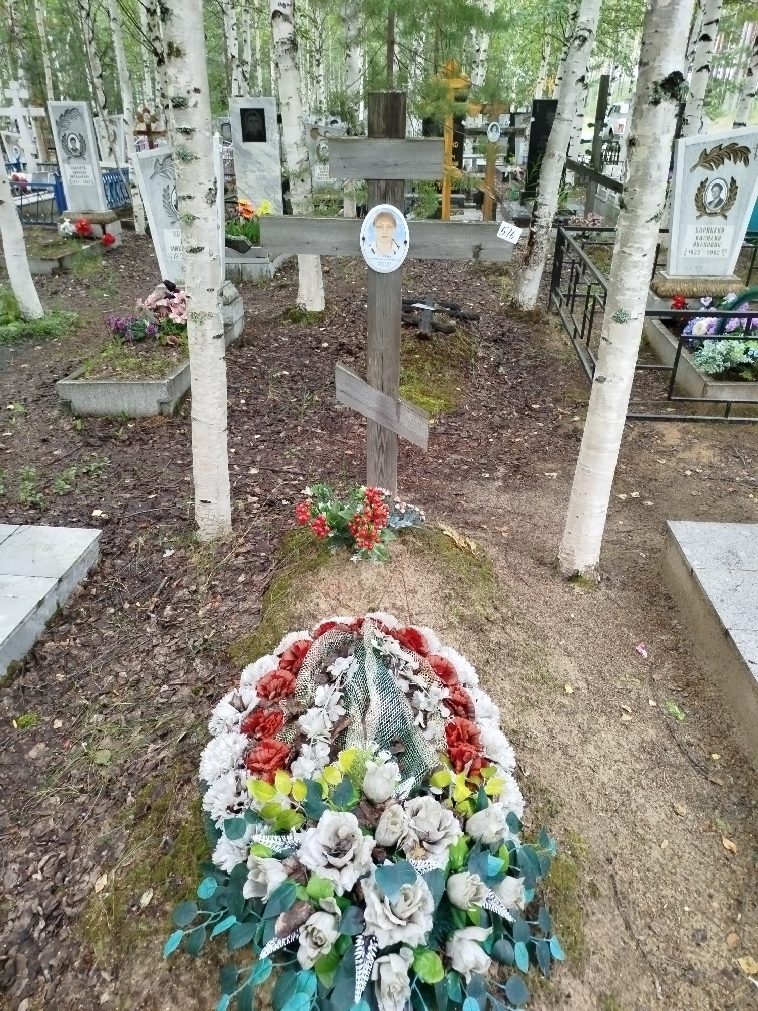 Царева Валерия Александровна