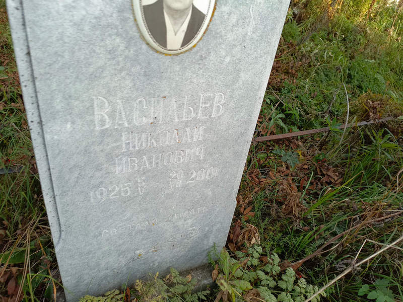 Васильев