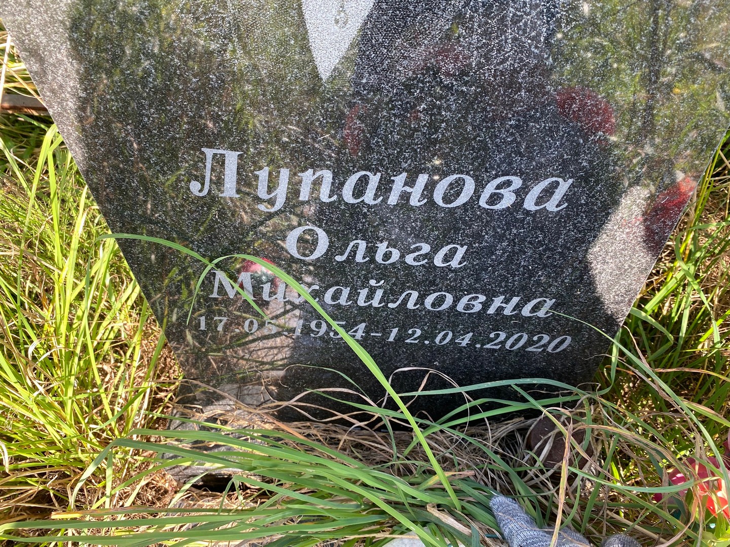 Лупанова