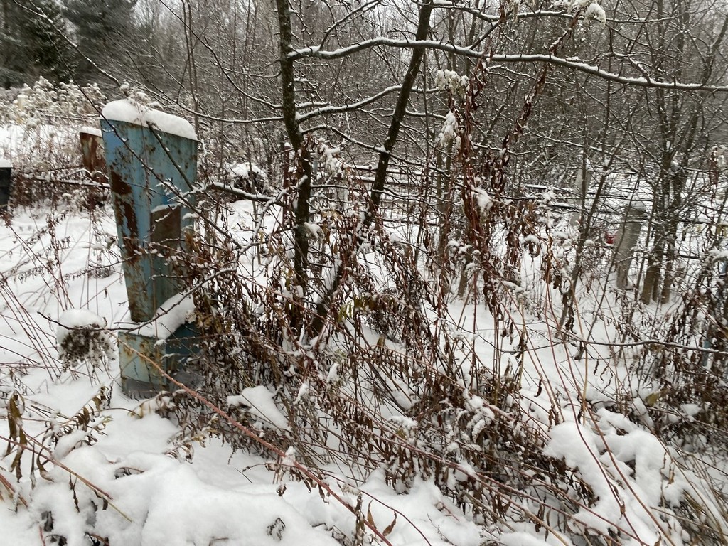 Сиротина Мария Степановна