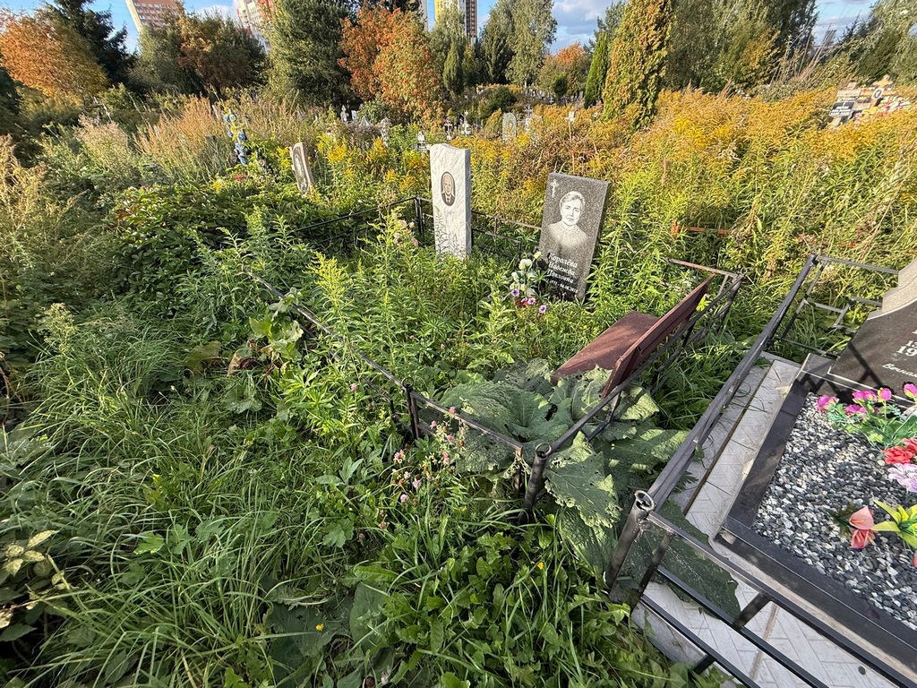 Королев Александр Викторович