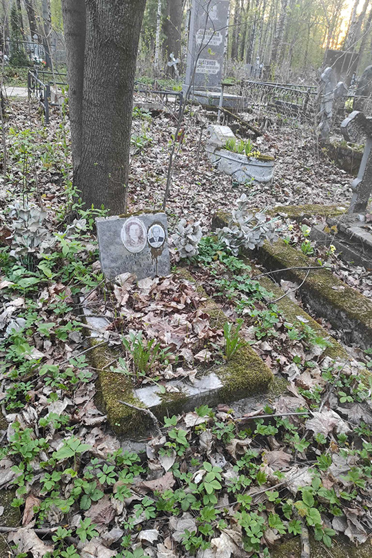 Голубев Николай Андреевич