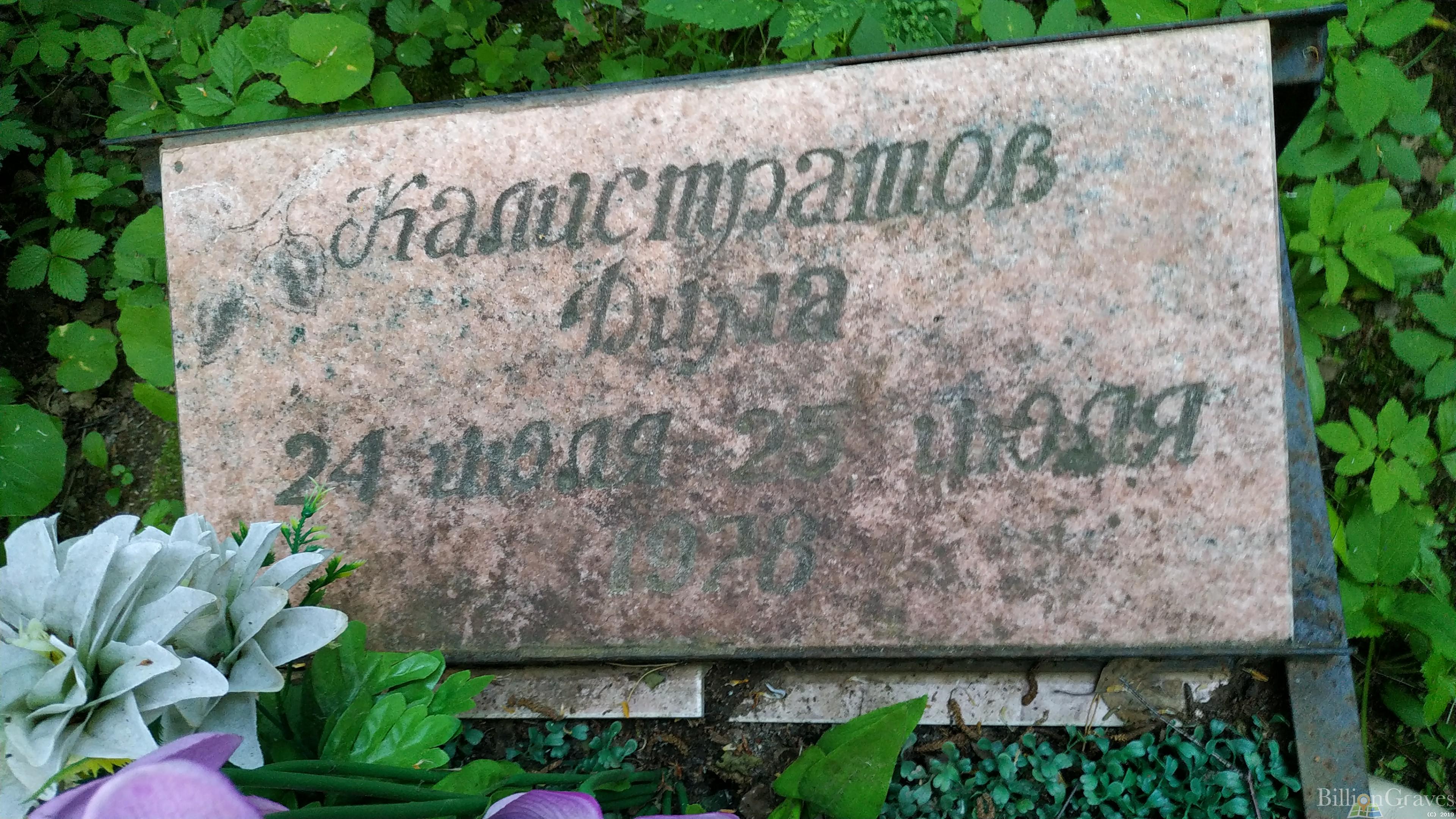 Калистратов Дмитрий
