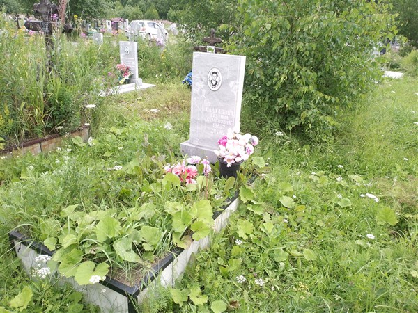 Салтанова Джемма Семёновна